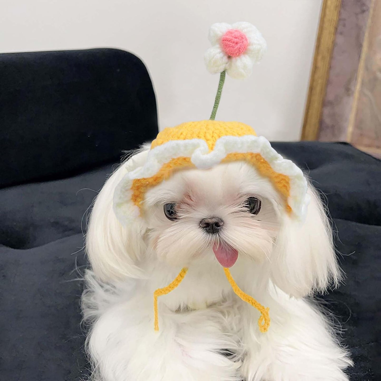 Cute Knit Cat Hat, Funny Dog Hat for Cats & Small Dogs | Halloween, Christmas & Birthday Costume Headwear