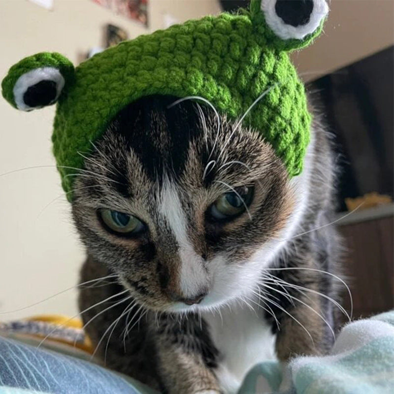 Photo-Ready Fun: Knitted Wool Cartoon Frog Pullover Pet Hat (General Purpose).