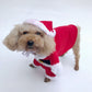 Santa Claus Turned Into a Cat and Dog Costume, Christmas Pet Transformation Outfit