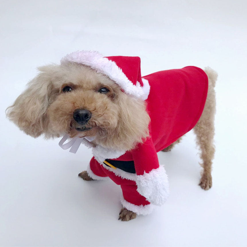 Santa Claus Turned Into a Cat and Dog Costume, Christmas Pet Transformation Outfit