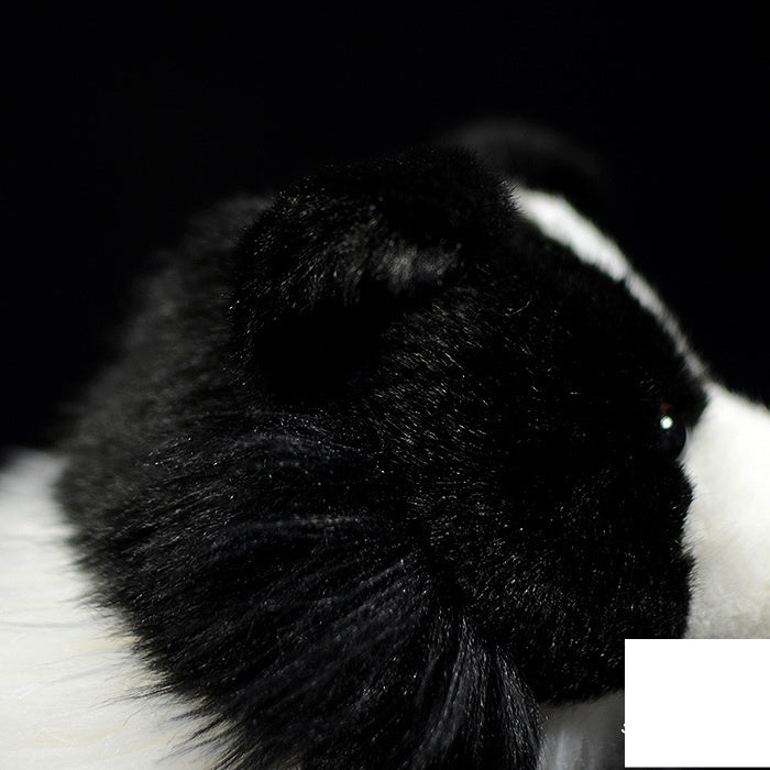 Fashion Simulation Plush Cute Border Collie Doll, 28cm Realistic Puppy Plush Toy