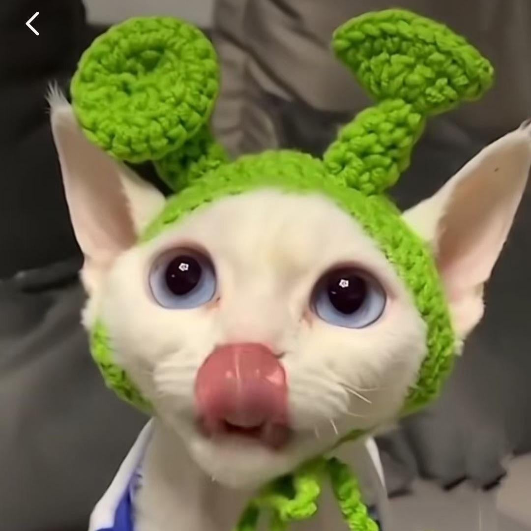 Hand-Crocheted Pet Knitted Hat, Funny INS-Style Wool Headgear for Cats & Dogs