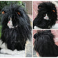 Lion Mane Wig Hat for Pets, Fashion Plush Head Cover for Cats & Dogs (Halloween Costume)