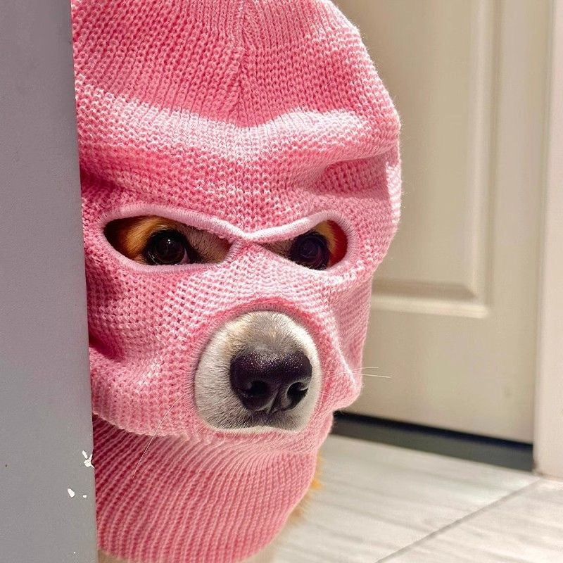 Corgi Puppy Headgear Hat, Cute Wool Dog Creative Headdress