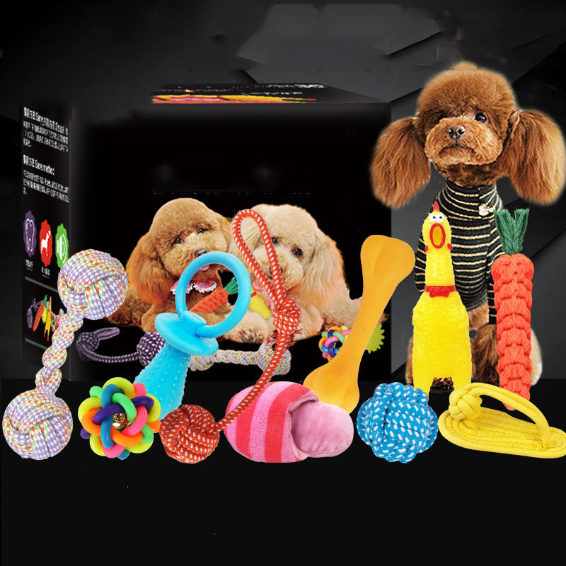 Excitement in a Box: Vocal Dog Toy Assortment Sets (Rubber & Cotton Rope Mix, Random Colors).