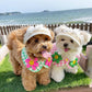 Lace Straw Sun Hat for Pets, Adjustable INS-Style Dog & Cat Hat with Rope and Pig Nose Button