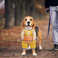 Pet Costumes, Dog Basketball Player Costume for Halloween, Sports Cosplay & Funny Dress-Up