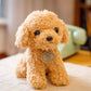 Lifelike Cuddles: Simulation Teddy Dog Plush Toy Doll (Fashion & Simple Style, $\mathbf{4}$ Colors).