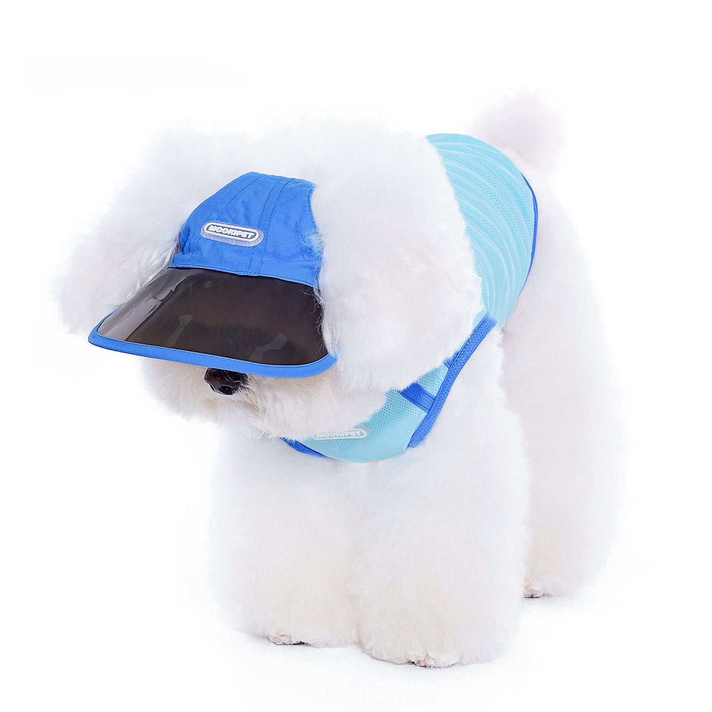 Autumn Nylon Dog Hat, Casual Small Dog Hat for Yorkies (S/M/L)