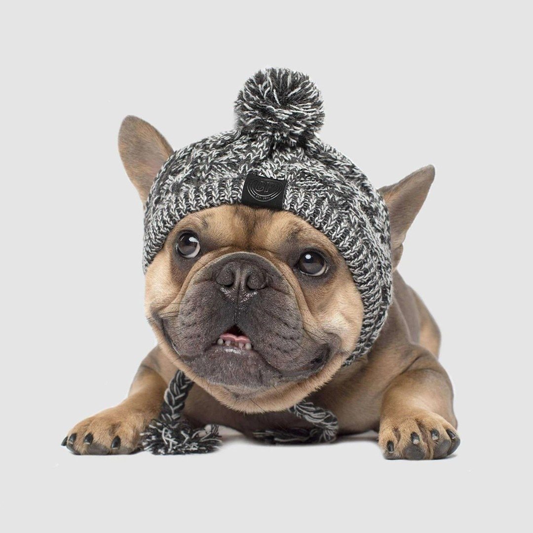 Winter Fashion Dog Hat, Windproof Fluffy Knitted Polar Pom Hat