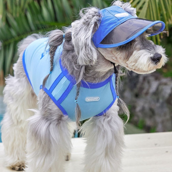 Autumn Nylon Dog Hat, Casual Small Dog Hat for Yorkies (S/M/L)