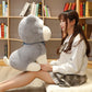 Cloud-Soft Schnauzer: Adorable Plush Dog Doll (Super Soft Short Plush).