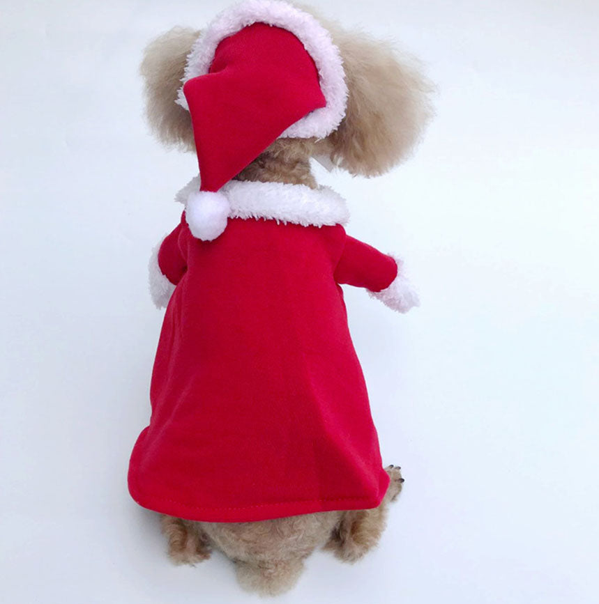 Santa Claus Turned Into a Cat and Dog Costume, Christmas Pet Transformation Outfit