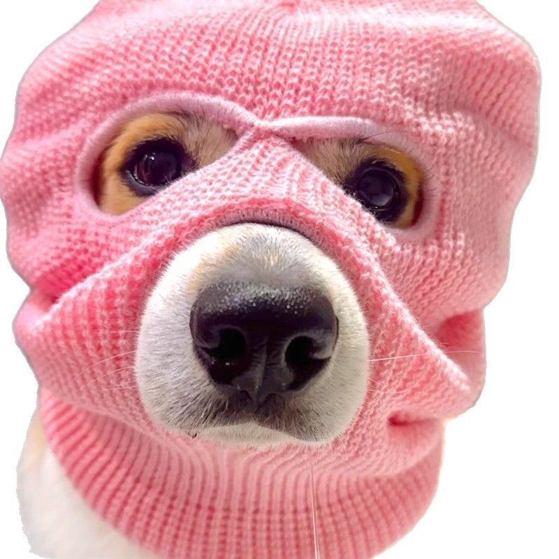 Corgi Puppy Headgear Hat, Cute Wool Dog Creative Headdress