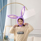 Bunny Ears Hat, Plush Headgear & Cute Photo Prop