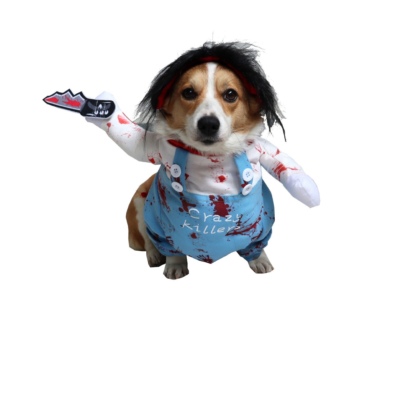 Halloween Pet Clothes, Funny Dog & Cat Costume for Spooky Dress-Up