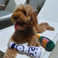 Cheers to Playtime: Funny Tequila "Boujee" Plush Dog Toy with Squeaker (All Dog Sizes).