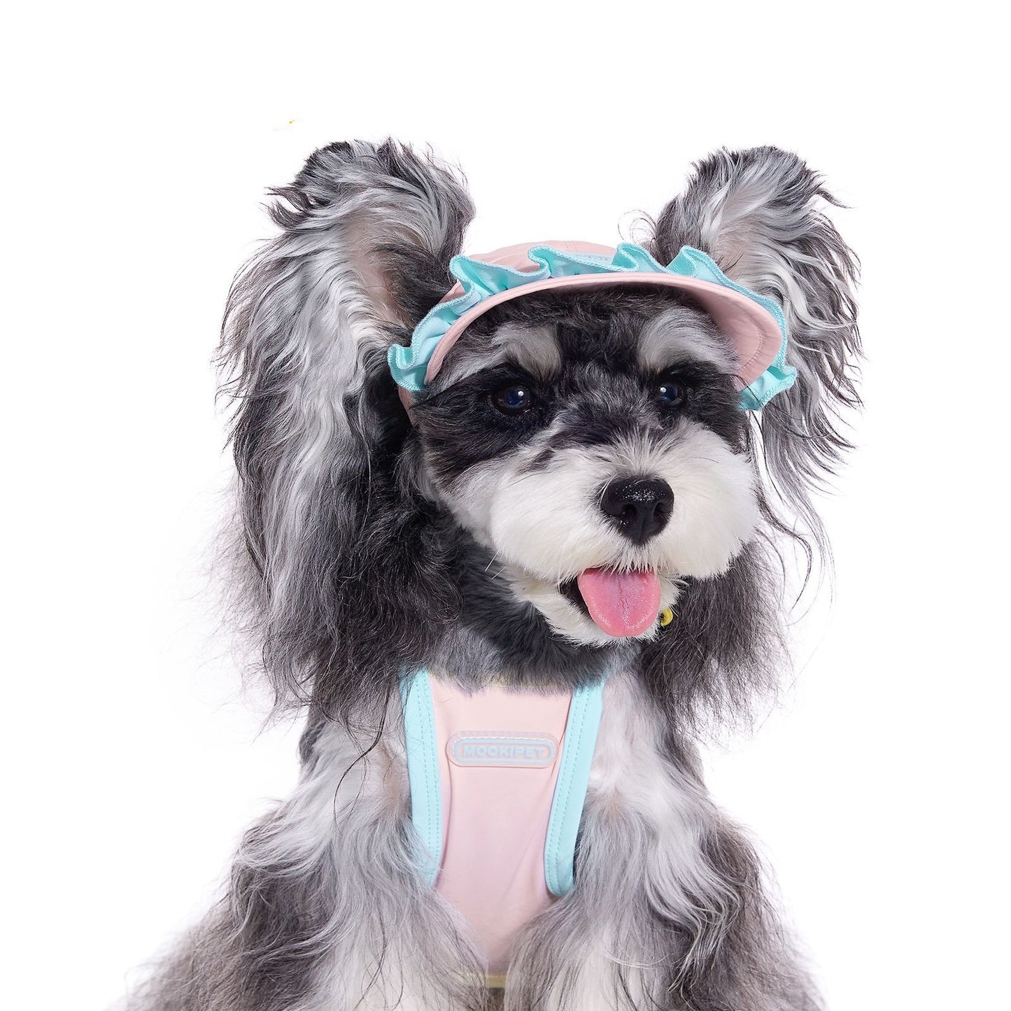 Dog Hat with Ear Holes, Exposed Ears Pet Cap for Small Dogs (Bichon, Schnauzer)