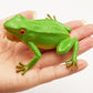 Simulation Frog Model Sounding Animal Toy – Realistic PVC Frog Figure