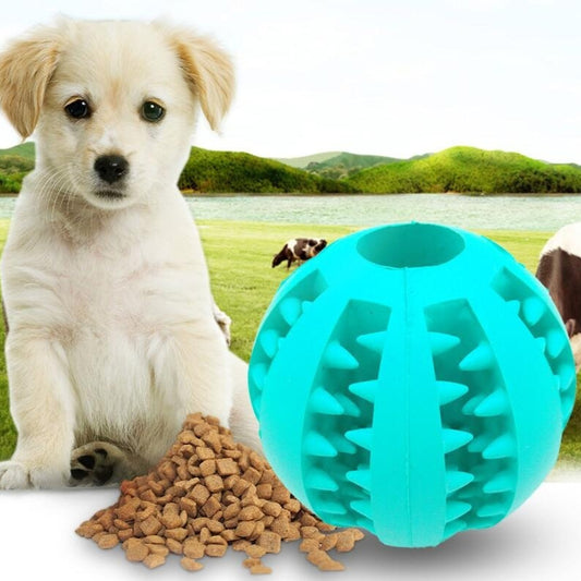 Pet Slow Feeder Dog Toy, Cute Rubber Treat Ball & Tooth Cleaning Toy for Dogs (Blue, Green, Red)
