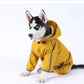 Four-Leg Waterproof Pet Raincoat, Lightweight Dog & Cat Rain Jacket for Outdoor Travel (S–XXL)