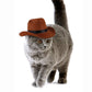 Pet Cowboy Hat, Adjustable Funny Headgear for Dogs & Cats | Outdoor Cosplay & Photo Props