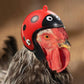 Hens Helmet – Chicken & Bird Pet Safety Hat | Funny Hard Headwear for Parakeets & Small Poultry