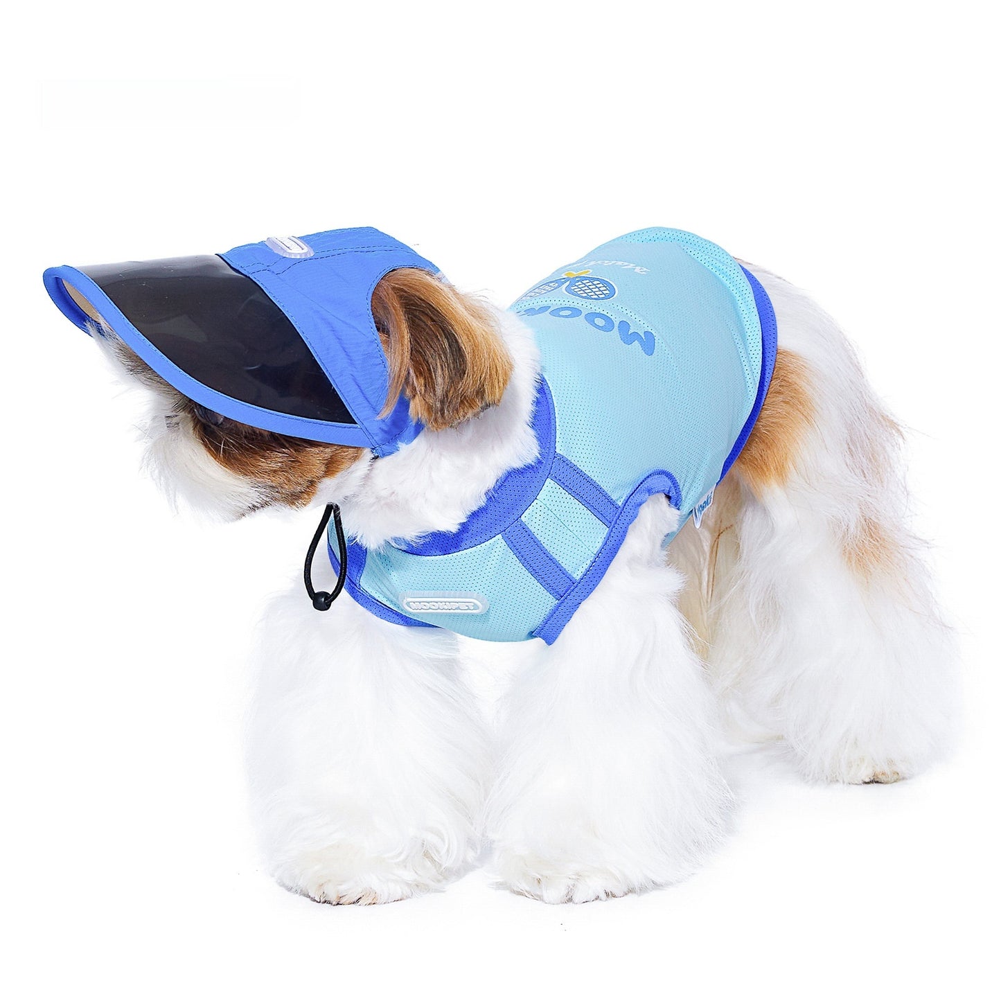 Autumn Nylon Dog Hat, Casual Small Dog Hat for Yorkies (S/M/L)