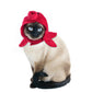 Funny Pet Dog & Cat Costume, Warm Hat Photo Prop Headwear