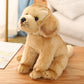 Lifelike Cuddles: Simulation Plush Toy Labrador Dog Doll ($\mathbf{28 \times 20 \times 26\text{cm}}$, Brown).