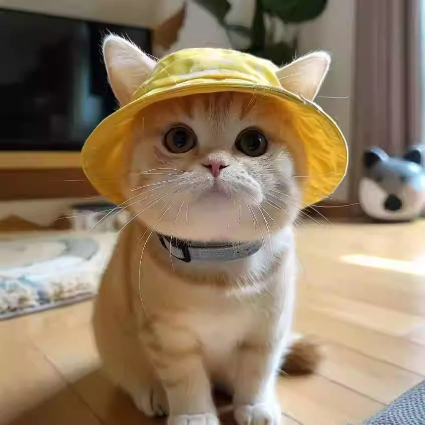 Cute Exposed-Ear Bucket Hat for Pets, Breathable Summer Hat for Cats & Dogs