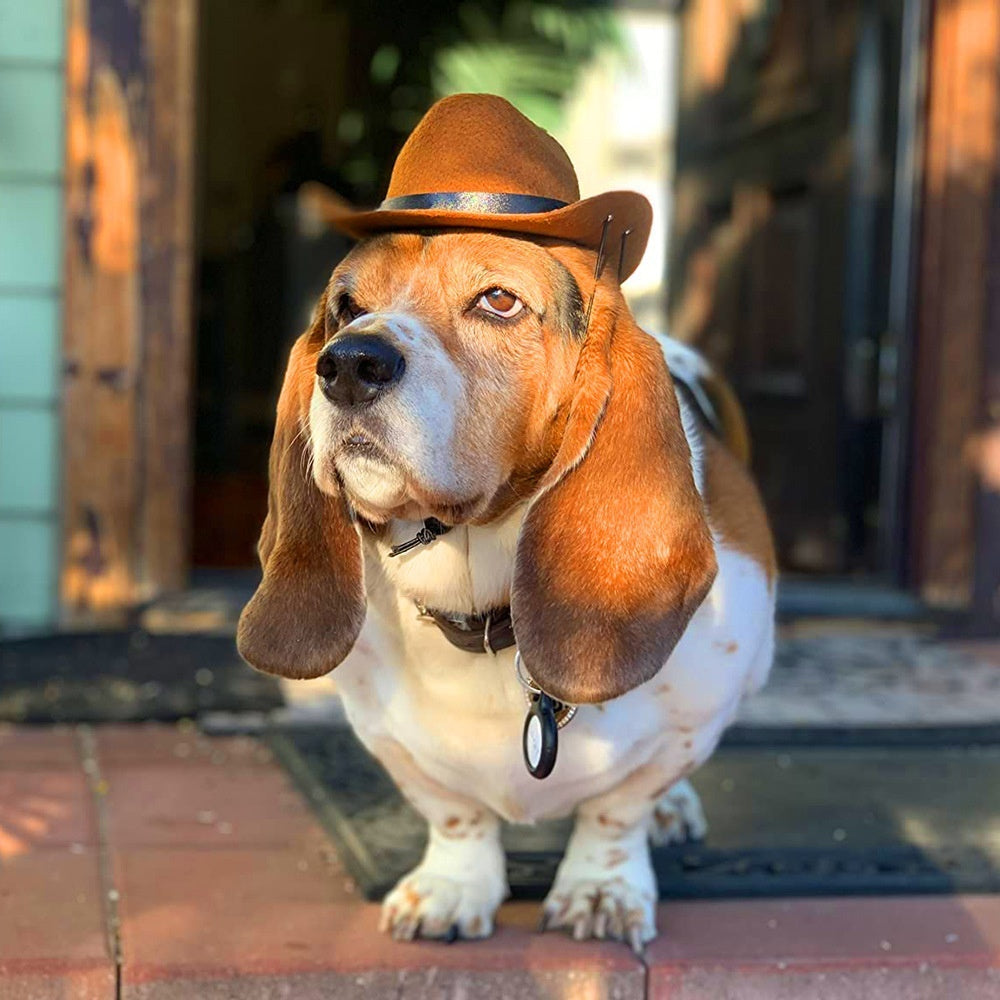 New Cat & Dog Cowboy Hat, Casual All-Season Pet Headwear