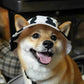 Cute Exposed-Ear Bucket Hat for Pets, Breathable Summer Hat for Cats & Dogs