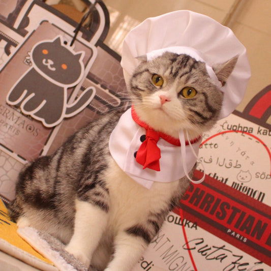 Kitchen God Pet Costume, Funny Chef Cloak & Hat Set for Dogs and Cats