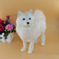 Dummy Dog Samoyed Ornament, Lifelike Children’s Plush Toy & Desktop Decoration