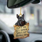 Sleeping Angel Dog Car Pendant, Cute Acrylic Hanging Ornament for Cars, Doors & Home Decoration