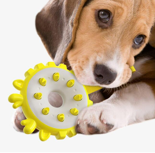 Training Bite-Resistant Molar Toy Ring, Durable Dog Toothbrush Chew Toy
