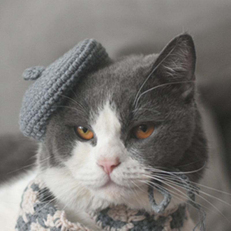Knitted Beret & Plaid Scarf Set for Pets, Cute Belle-Style Accessories for Cats & Small Dogs