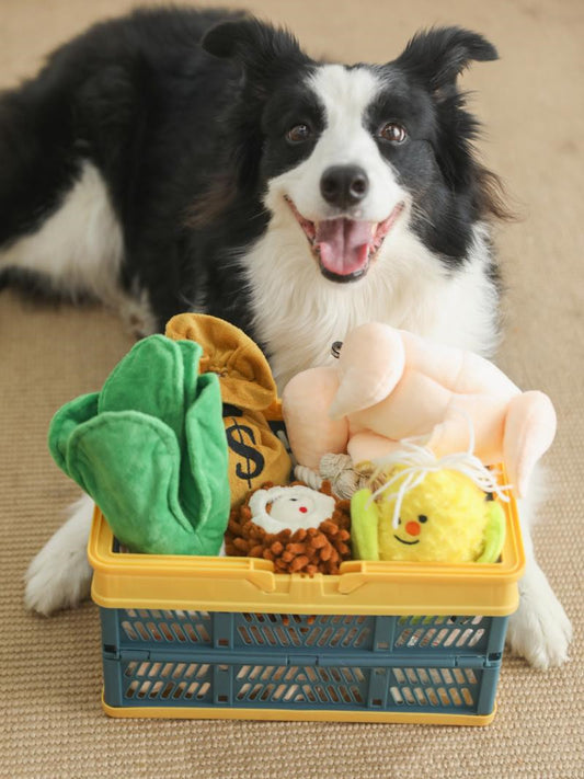 Farm-Fresh Fun: Cute Sounding Pet Rattle Toys (Cabbage/Corn) for Puppies' Anti-Boredom Play.