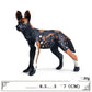 Realistic Plastic Dog Model Toy, Large Cognitive Animal Figures for Kids & Collectors