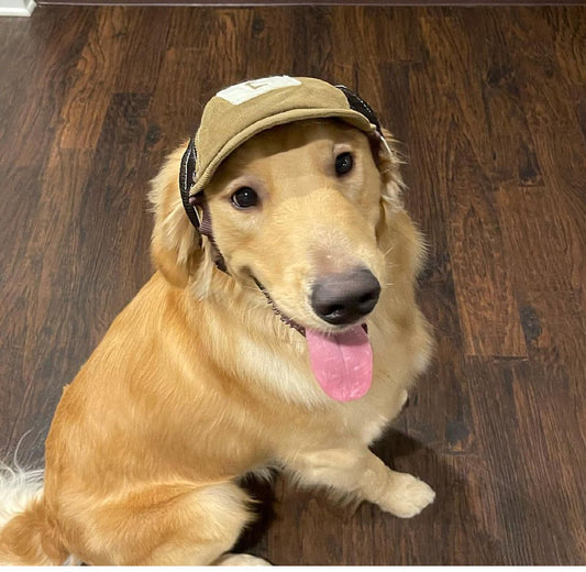 Pet Sports Sun Hat, Breathable Corduroy Sunscreen Cap for Dogs & Cats