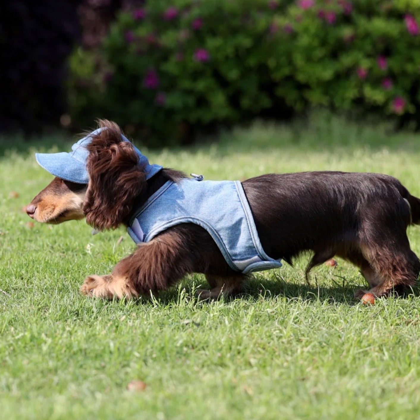 Pet Wild Cowboy Hat, Sunscreen Sun Protection Hat for Dogs & Cats