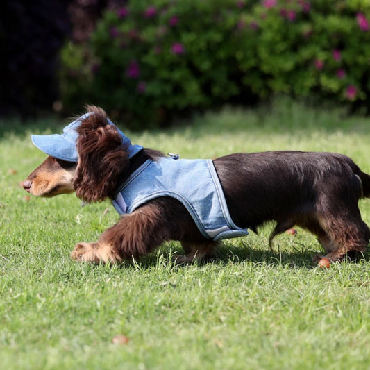 Pet Wild Cowboy Hat, Sunscreen Sun Protection Hat for Dogs & Cats