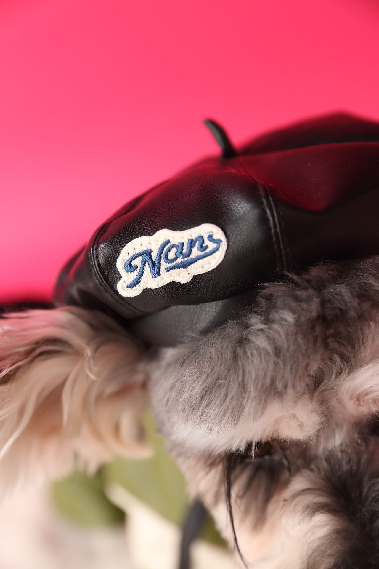 Pumpkin-Shaped Dog Photo Hat, Concave Design Leather Pet Accessory for Cute Photos & Outfits