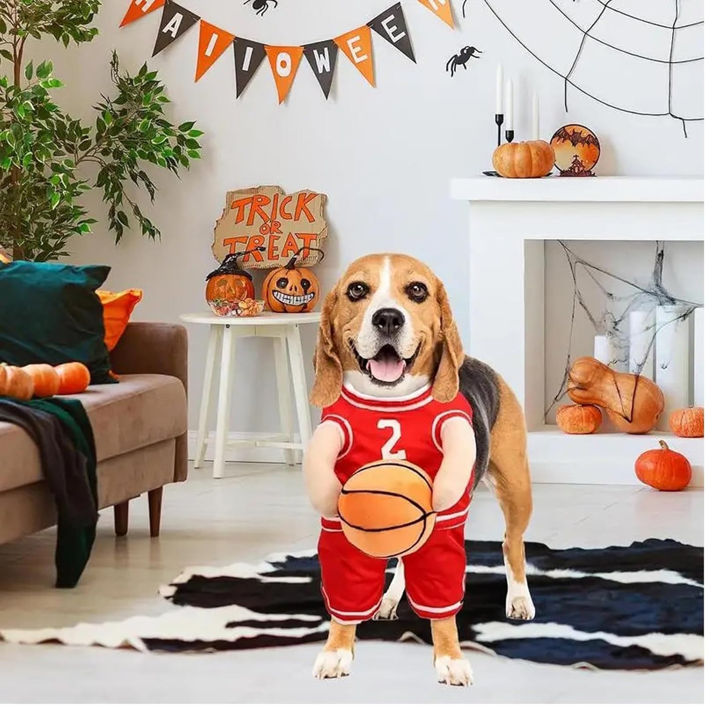 Pet Costumes, Dog Basketball Player Costume for Halloween, Sports Cosplay & Funny Dress-Up