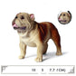 Realistic Plastic Dog Model Toy, Large Cognitive Animal Figures for Kids & Collectors