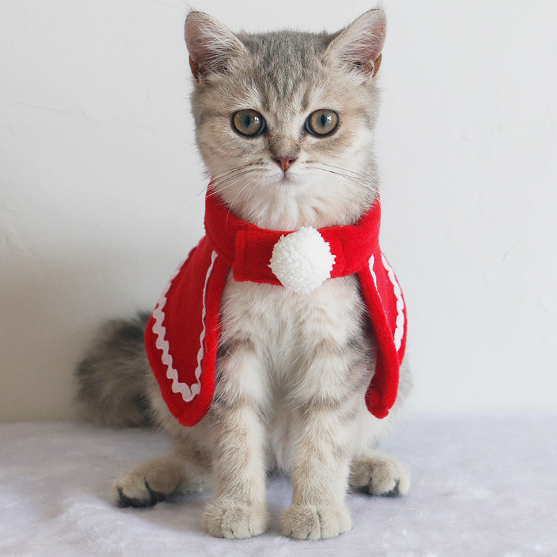 Winter Christmas Dog Scarf & Hat Set, Festive Pet Bib, Cloak & Accessories for Cats & Dogs