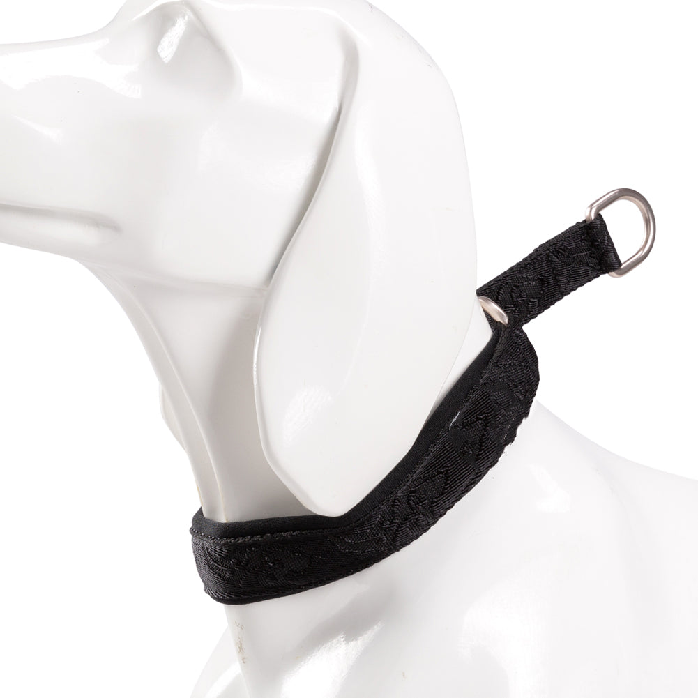 Fashion Personality P-Chain Walking Dog Neck Ring, Durable Nylon Collar with Aluminum Alloy Hardware (2XS–3XL)