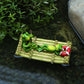 Water Garden Charm: Modern Resin Floating Frog Simulation Animal Ornaments.