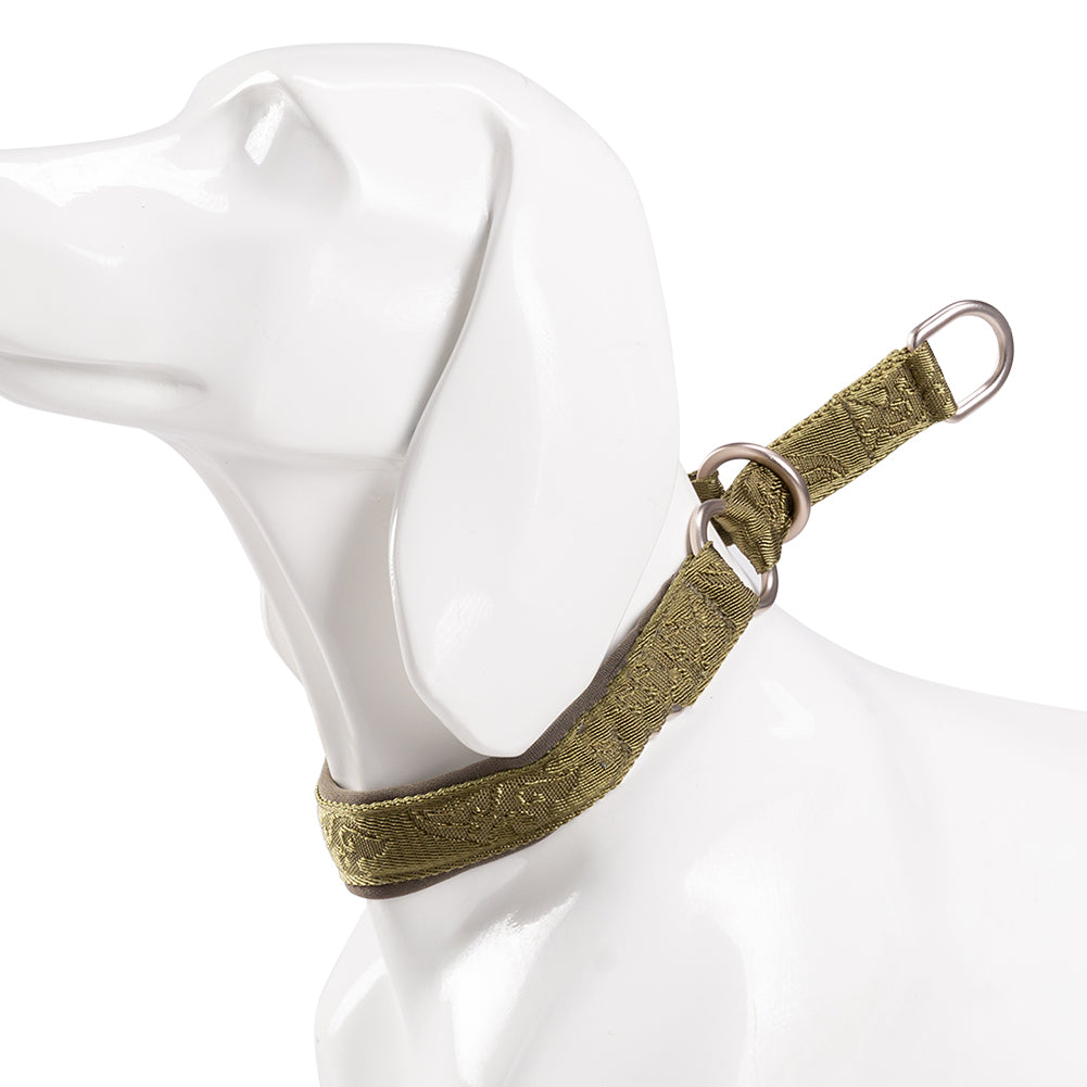 Fashion Personality P-Chain Walking Dog Neck Ring, Durable Nylon Collar with Aluminum Alloy Hardware (2XS–3XL)